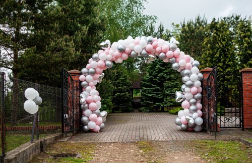 6 Events That Need a Balloon Arch Entrance